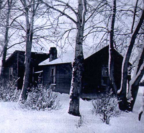 Une petite cabane en bois entourée d’arbres et de neige.
