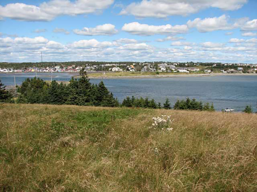 Beautiful scenery showing grass, sky and water.