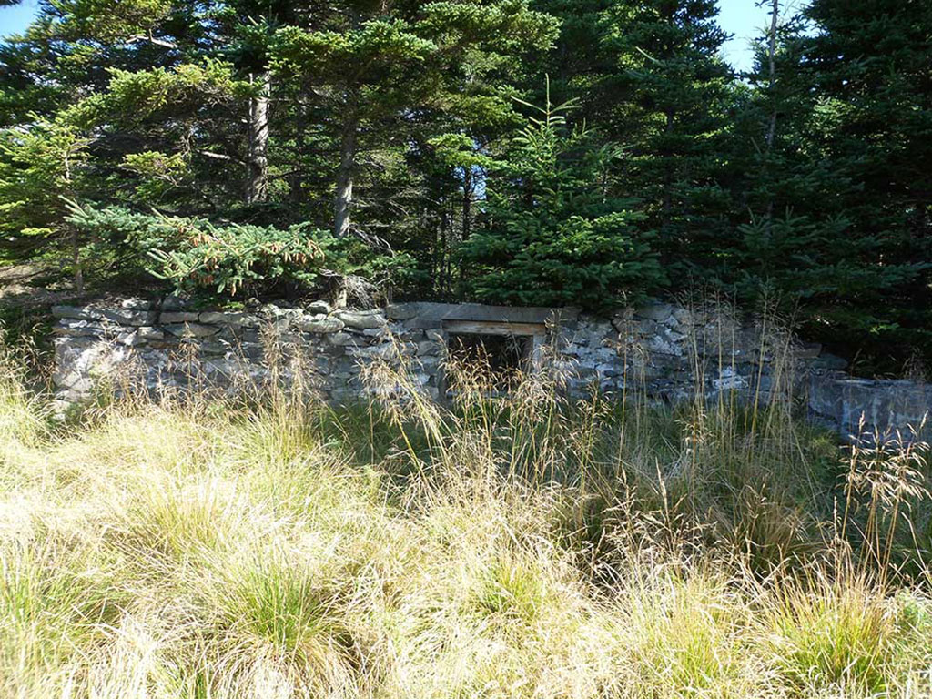 Abandoned stone building in the middle of a forest.