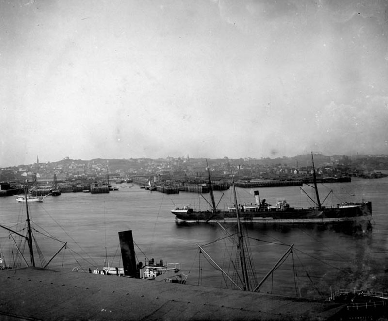 One ship and smaller tugboat move side by side in Saint John harbour.